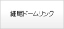 細尾ドームリンク