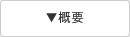 概要