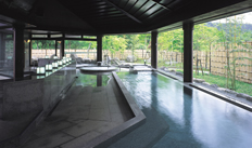 日光市温泉保養センターやしおの湯