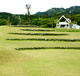 日光運動公園
