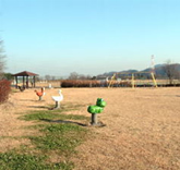 塩野室運動公園
