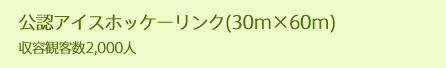 公認アイスホッケーリンク(30m×60m)収容観客数2,000人